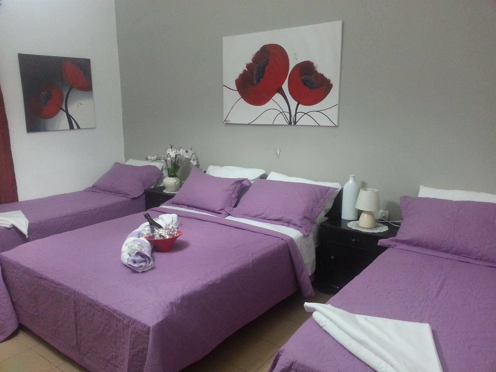 Zimmer Garden Haifa Luaran gambar